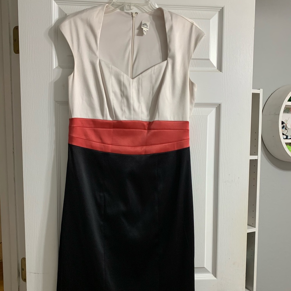 Below- Knee Length Fitted Dress